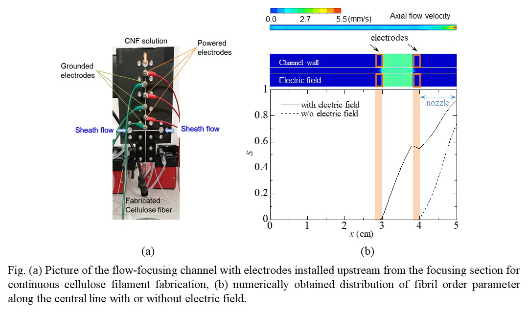 Numerical simulation on electrostatic alignment control of cellulose nano-fibrils in flow - Advances in Engineering