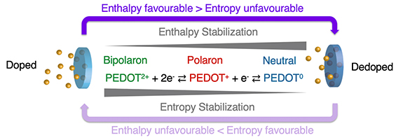 What Drives the Kinetics and Doping Level in the Electrochemical Reactions of PEDOT:PSS? - Advances in Engineering What Drives the Kinetics and Doping Level in the Electrochemical Reactions of PEDOT:PSS? - Advances in Engineering