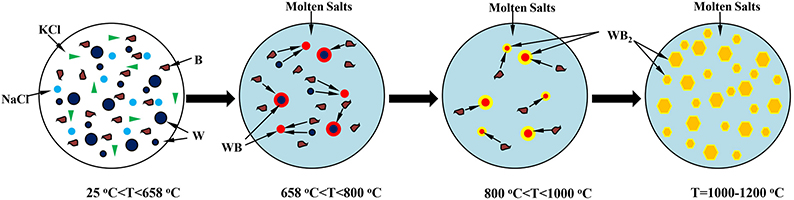 Low-temperature synthesis of tungsten diboride powders via a simple molten salt route - Advances in Engineering