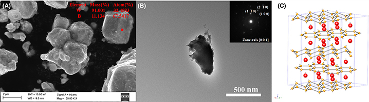Low-temperature synthesis of tungsten diboride powders via a simple molten salt route - Advances in Engineering