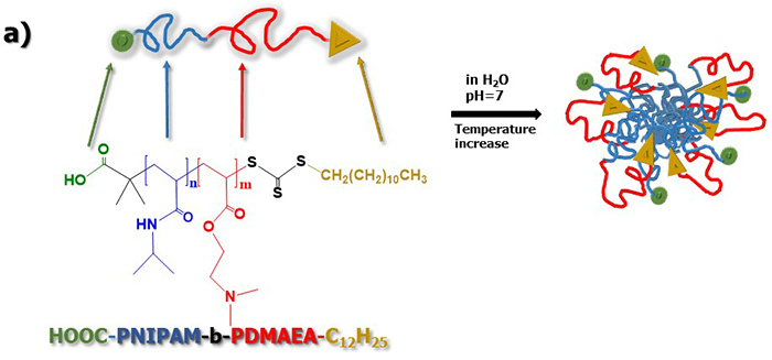 Nanostructural transformations in block copolymer aqueous solutions under different stimuli: environmental response regulation via chemical functionality and end groups placement - Advances in Engineering Nanostructural transformations in block copolymer aqueous solutions under different stimuli: environmental response regulation via chemical functionality and end groups placement - Advances in Engineering
