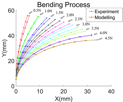 An general model for the joint-type flexible endoscope with high accuracy and good computational efficiency - Advances in Engineering