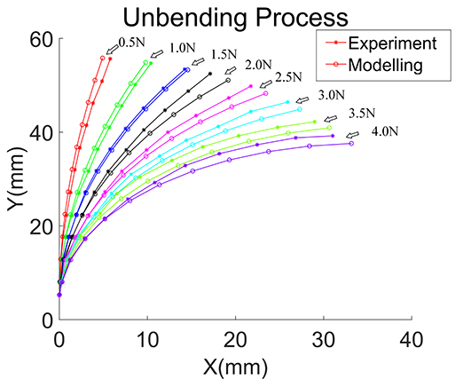 An general model for the joint-type flexible endoscope with high accuracy and good computational efficiency - Advances in Engineering