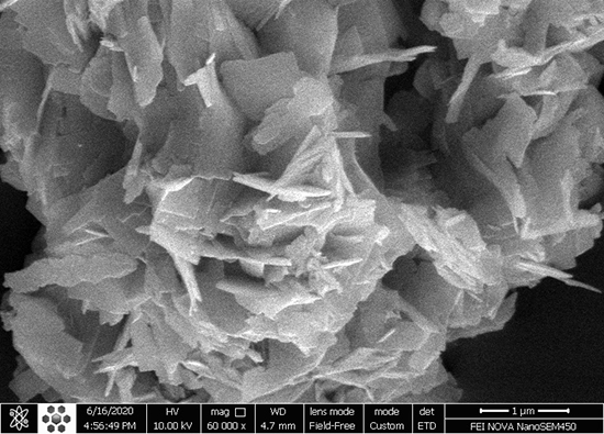 K4Nb6O17/Fe3N/α-Fe2O3/C3N4 as an enhanced visible-light-driven quaternary photocatalyst for acetamiprid photodegradation, CO2 reduction, and cancer cells treatment - Advances in Engineering K4Nb6O17/Fe3N/α-Fe2O3/C3N4 as an enhanced visible-light-driven quaternary photocatalyst for acetamiprid photodegradation, CO2 reduction, and cancer cells treatment - Advances in Engineering