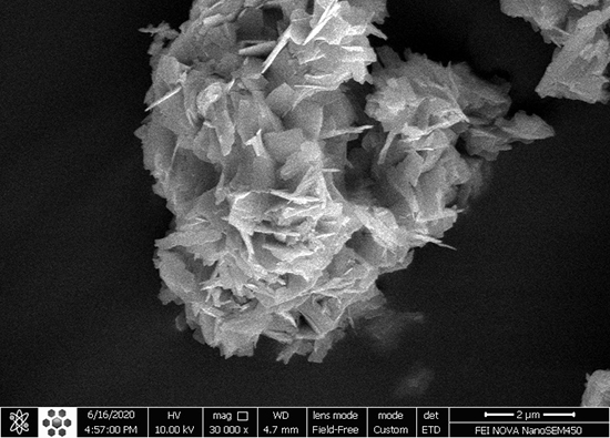 K4Nb6O17/Fe3N/α-Fe2O3/C3N4 as an enhanced visible-light-driven quaternary photocatalyst for acetamiprid photodegradation, CO2 reduction, and cancer cells treatment - Advances in Engineering K4Nb6O17/Fe3N/α-Fe2O3/C3N4 as an enhanced visible-light-driven quaternary photocatalyst for acetamiprid photodegradation, CO2 reduction, and cancer cells treatment - Advances in Engineering