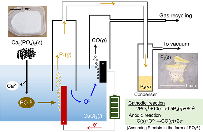 Electrochemistry enables a cleaner production of white phosphorus - Advances in Engineering Electrochemistry enables a cleaner production of white phosphorus - Advances in Engineering