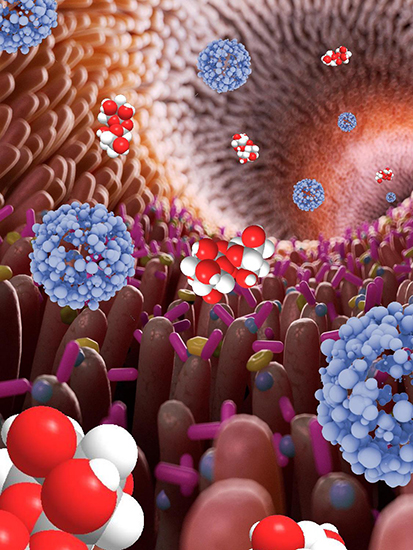 Re-thinking mucus-penetrating nanoparticles using natural sugars - Advances in Engineering Re-thinking mucus-penetrating nanoparticles using natural sugars - Advances in Engineering
