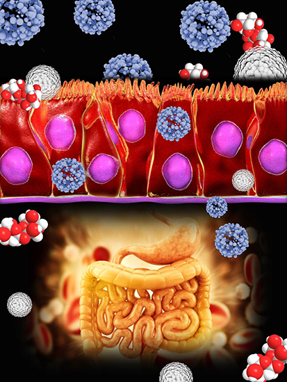 Re-thinking mucus-penetrating nanoparticles using natural sugars - Advances in Engineering Re-thinking mucus-penetrating nanoparticles using natural sugars - Advances in Engineering