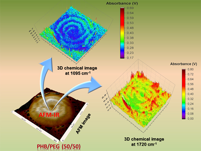 Nanoscale lamellar assembly and segregation mechanism of poly(3-hydroxybutyrate)/poly(ethylene glycol) blends - Advances in Engineering