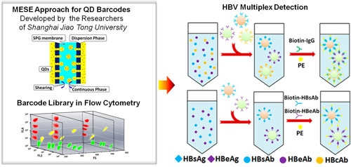 Highly Efficient Preparation of Multiscaled Quantum Dot Barcodes for Multiplexed Hepatitis B Detection