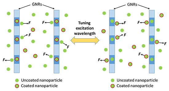 Dynamically Reconfigurable Bipolar Optical Gradient Force Induced by Mid-Infrared Graphene Plasmonic Tweezers for Sorting Dispersive Nanoscale Objects - Advances in Engineering