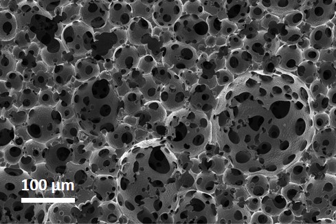 Three-dimensional stem cell-derived neural culture using porous polymer scaffolds - Advances in Engineering
