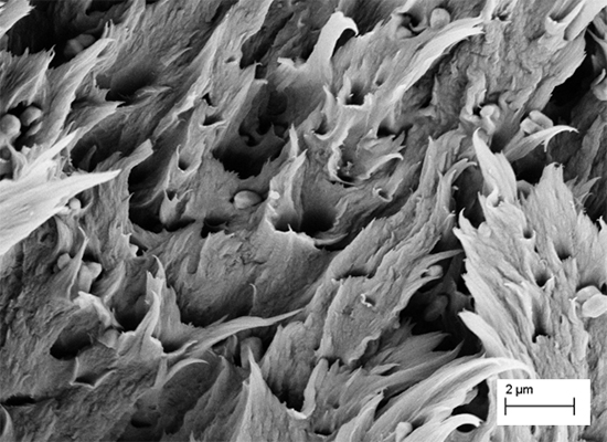 PEEK-TiO2 composites with enhanced UV resistance - Advances in Engineering PEEK-TiO2 composites with enhanced UV resistance - Advances in Engineering