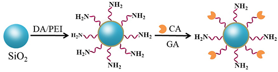 Dopamine/Polyethylenimine-Modified Silica for Enzyme Immobilization and Strengthening of Enzymatic CO2 Conversion - Advances in Engineering Dopamine/Polyethylenimine-Modified Silica for Enzyme Immobilization and Strengthening of Enzymatic CO2 Conversion - Advances in Engineering