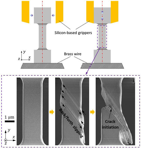 Load-dependency of damage process in tension-compression fatigue of microscale single-crystal copper - Advances in Engineering Load-dependency of damage process in tension-compression fatigue of microscale single-crystal copper - Advances in Engineering
