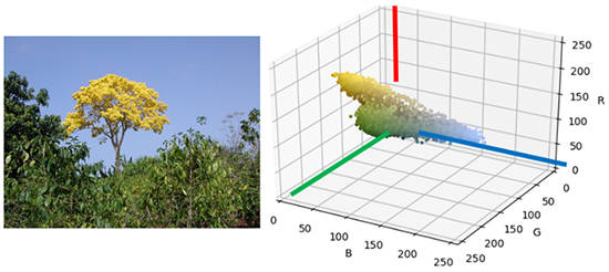 Strategies for the development of a color visual prosthesis for the blind - Advances in Engineering Strategies for the development of a color visual prosthesis for the blind - Advances in Engineering