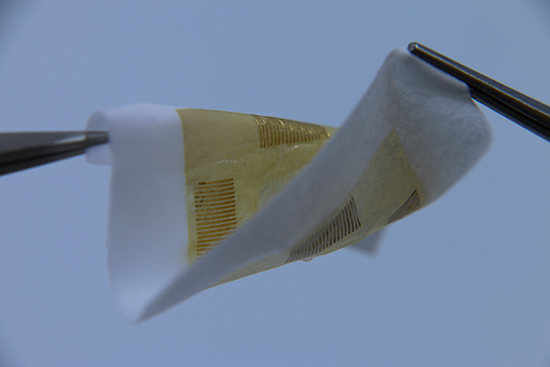 Sensor-Instrumented Scaffold Integrated with Microporous Spongelike Ultrabuoy for Long-Term 3D Mapping of Cellular Behaviors and Functions - Advances in Engineering Sensor-Instrumented Scaffold Integrated with Microporous Spongelike Ultrabuoy for Long-Term 3D Mapping of Cellular Behaviors and Functions - Advances in Engineering