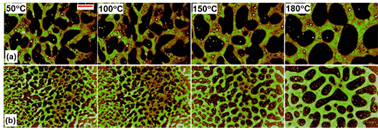 Diverse regulation of performance enhancement for polyethylene/polyethylene glycol modified bitumen - Advances in Engineering