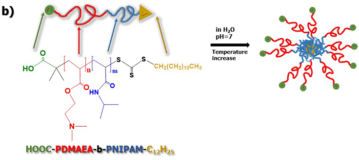 Nanostructural transformations in block copolymer aqueous solutions under different stimuli: environmental response regulation via chemical functionality and end groups placement - Advances in Engineering Nanostructural transformations in block copolymer aqueous solutions under different stimuli: environmental response regulation via chemical functionality and end groups placement - Advances in Engineering