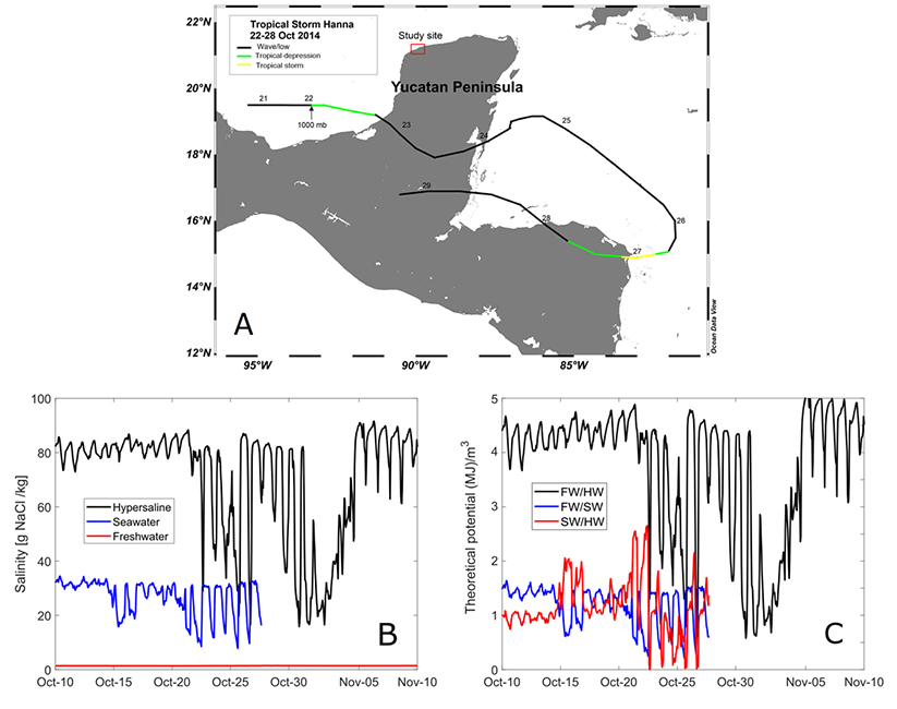Influence of observed daily variations and extreme meteorological events in salinity gradients of natural environments - Advances in Engineering Influence of observed daily variations and extreme meteorological events in salinity gradients of natural environments - Advances in Engineering