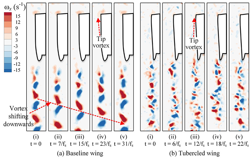 Leading-edge tubercles delay flow separation for a tapered swept-back wing at very low Reynolds number - Advances in Engineering Leading-edge tubercles delay flow separation for a tapered swept-back wing at very low Reynolds number - Advances in Engineering