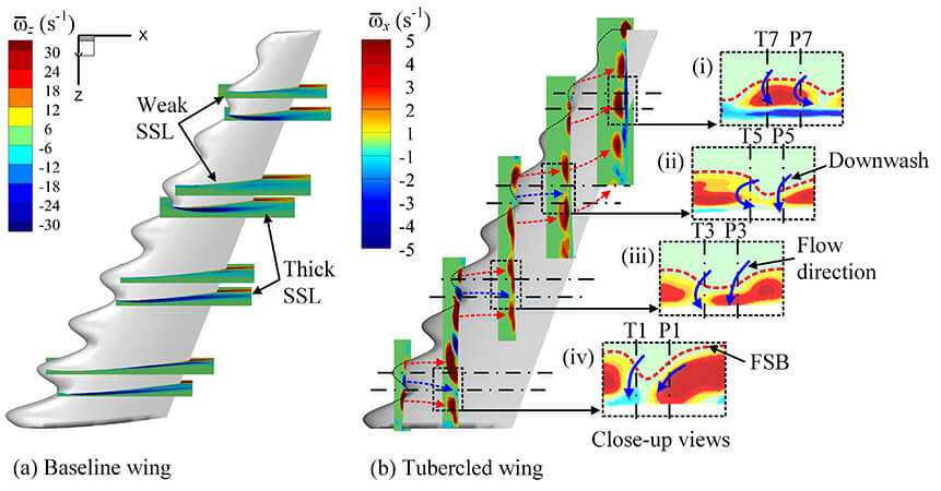 Leading-edge tubercles delay flow separation for a tapered swept-back wing at very low Reynolds number - Advances in Engineering Leading-edge tubercles delay flow separation for a tapered swept-back wing at very low Reynolds number - Advances in Engineering