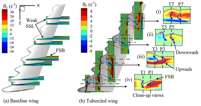 Leading-edge tubercles delay flow separation for a tapered swept-back wing at very low Reynolds number - Advances in Engineering Leading-edge tubercles delay flow separation for a tapered swept-back wing at very low Reynolds number - Advances in Engineering