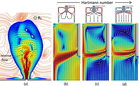 Reverse flows and flattening of a submerged jet under the action of a transverse magnetic field - Advances in Engineering Reverse flows and flattening of a submerged jet under the action of a transverse magnetic field - Advances in Engineering